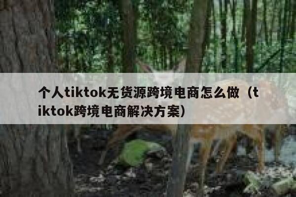 个人tiktok无货源跨境电商怎么做（tiktok跨境电商解决方案） 第1张