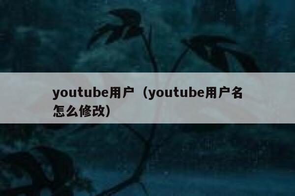 youtube用户（youtube用户名怎么修改） 第1张