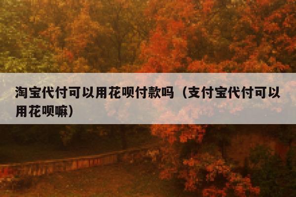淘宝代付可以用花呗付款吗（支付宝代付可以用花呗嘛） 第1张