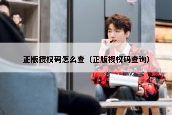 正版授权码怎么查（正版授权码查询） 第1张