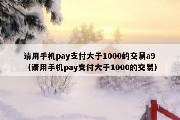 请用手机pay支付大于1000的交易a9（请用手机pay支付大于1000的交易） 第1张