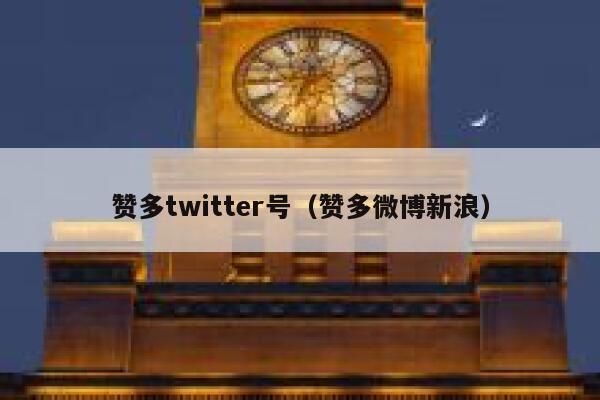 赞多twitter号（赞多微博新浪） 第1张