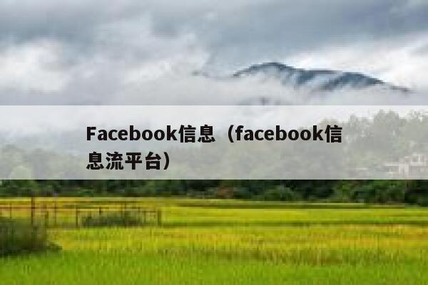 Facebook信息（facebook信息流平台） 第1张