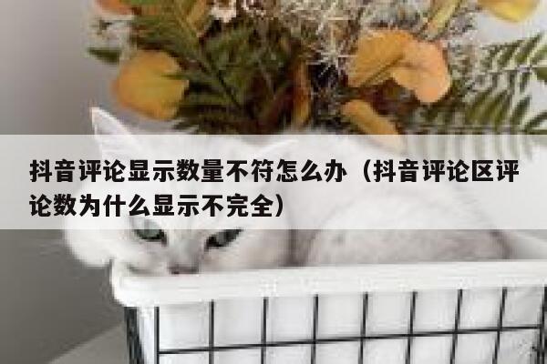 抖音评论显示数量不符怎么办（抖音评论区评论数为什么显示不完全） 第1张