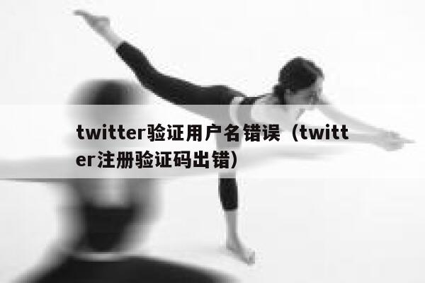 twitter验证用户名错误（twitter注册验证码出错） 第1张