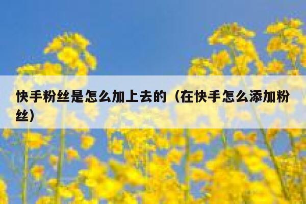 快手粉丝是怎么加上去的(在快手怎么添加粉丝) 第1张 快手粉丝是怎么加上去的(在快手怎么添加粉丝) 第1张