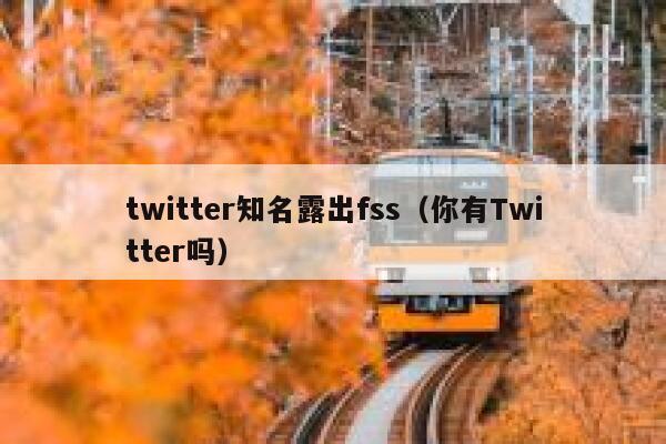 twitter知名露出fss（你有Twitter吗） 第1张