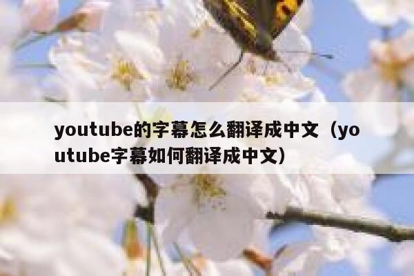 youtube的字幕怎么翻译成中文（youtube字幕如何翻译成中文） 第1张