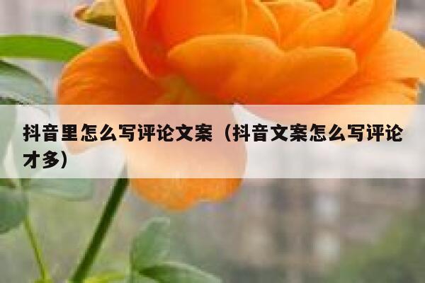 抖音里怎么写评论文案（抖音文案怎么写评论才多） 第1张