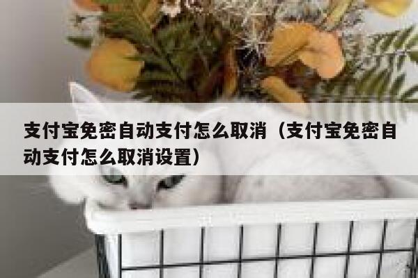 支付宝免密自动支付怎么取消（支付宝免密自动支付怎么取消设置） 第1张