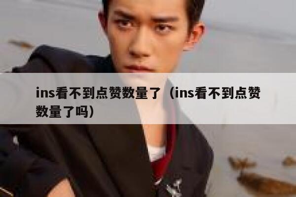 ins看不到点赞数量了（ins看不到点赞数量了吗） 第1张