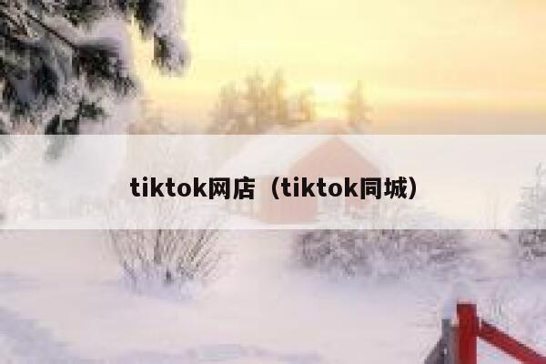 tiktok网店（tiktok同城） 第1张
