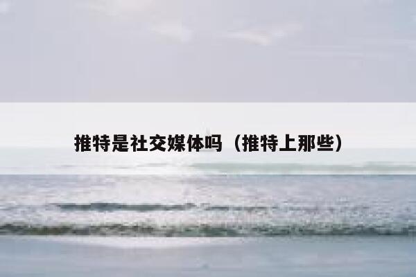 推特是社交媒体吗（推特上那些） 第1张