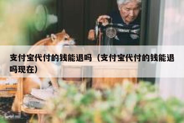支付宝代付的钱能退吗（支付宝代付的钱能退吗现在） 第1张