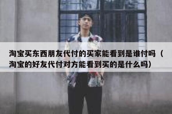 淘宝买东西朋友代付的买家能看到是谁付吗（淘宝的好友代付对方能看到买的是什么吗） 第1张