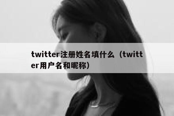 twitter注册姓名填什么(twitter用户名和昵称) 第1张 twitter注册姓名填什么(twitter用户名和昵称) 第1张