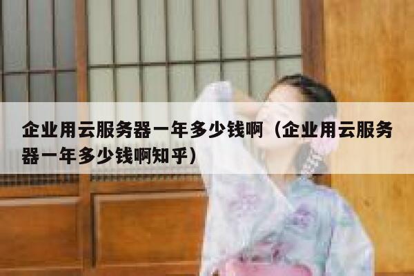 企业用云服务器一年多少钱啊（企业用云服务器一年多少钱啊知乎） 第1张