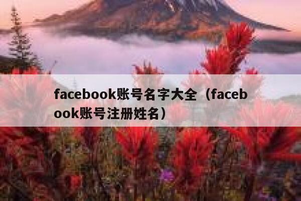 facebook账号名字大全（facebook账号注册姓名） 第1张