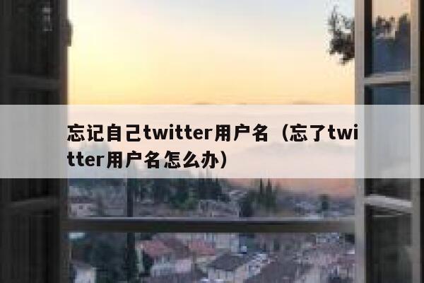 忘记自己twitter用户名（忘了twitter用户名怎么办） 第1张