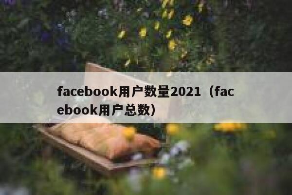 facebook用户数量2021（facebook用户总数） 第1张