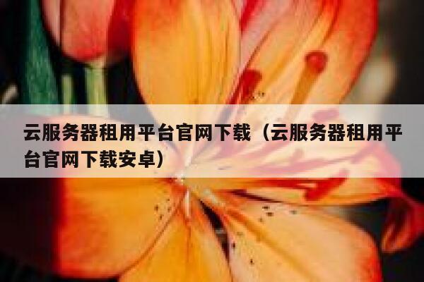 云服务器租用平台官网下载（云服务器租用平台官网下载安卓） 第1张