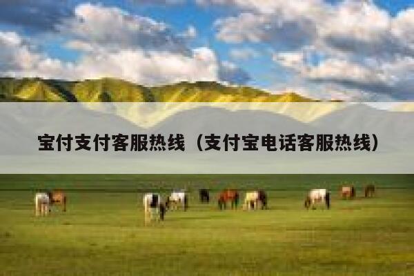 宝付支付客服热线（支付宝电话客服热线） 第1张