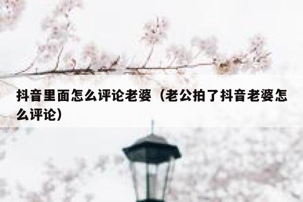 抖音里面怎么评论老婆（老公拍了抖音老婆怎么评论） 第1张