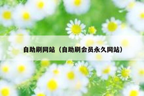 自助刷网站（自助刷会员永久网站） 第1张