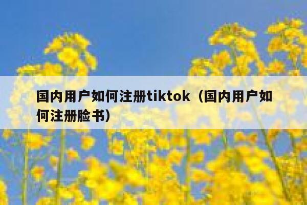 国内用户如何注册tiktok（国内用户如何注册脸书） 第1张
