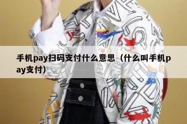 手机pay扫码支付什么意思(什么叫手机pay支付) 第1张 手机pay扫码支付什么意思(什么叫手机pay支付) 第1张