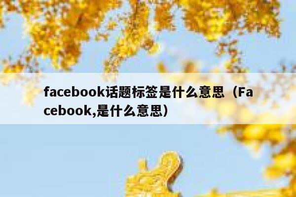 facebook话题标签是什么意思（Facebook,是什么意思） 第1张