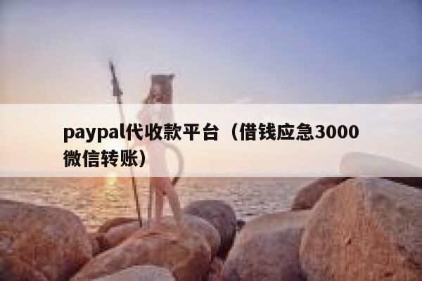 paypal代收款平台（借钱应急3000微信转账） 第1张