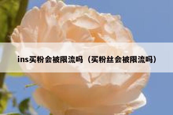 ins买粉会被限流吗（买粉丝会被限流吗） 第1张