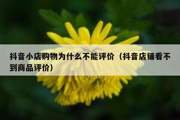 抖音小店购物为什么不能评价（抖音店铺看不到商品评价） 第1张