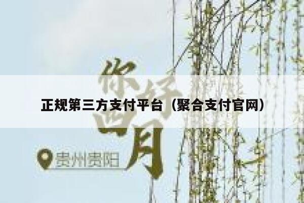 正规第三方支付平台（聚合支付官网） 第1张