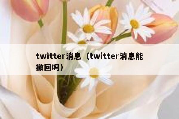 twitter消息（twitter消息能撤回吗） 第1张