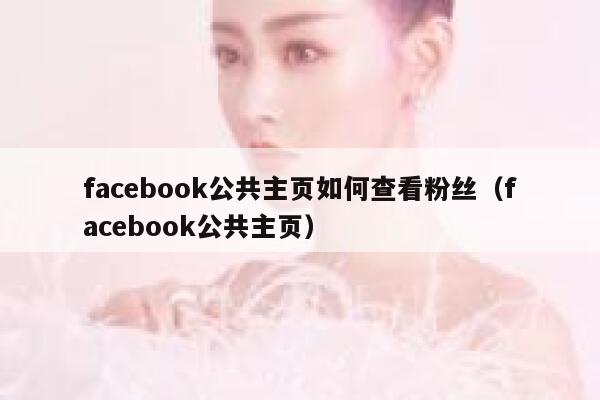 facebook公共主页如何查看粉丝（facebook公共主页） 第1张