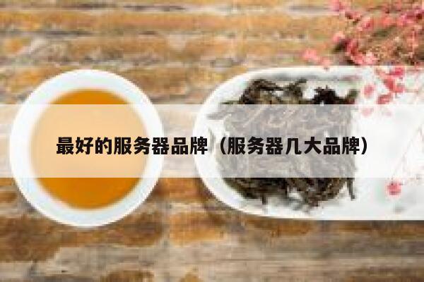 最好的服务器品牌（服务器几大品牌） 第1张