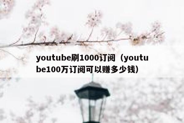 youtube刷1000订阅（youtube100万订阅可以赚多少钱） 第1张