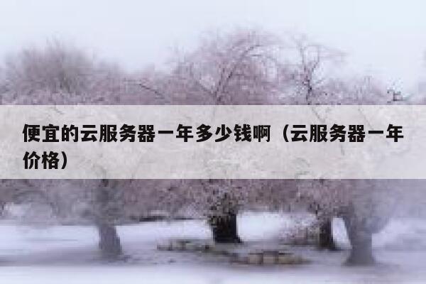 便宜的云服务器一年多少钱啊（云服务器一年价格） 第1张