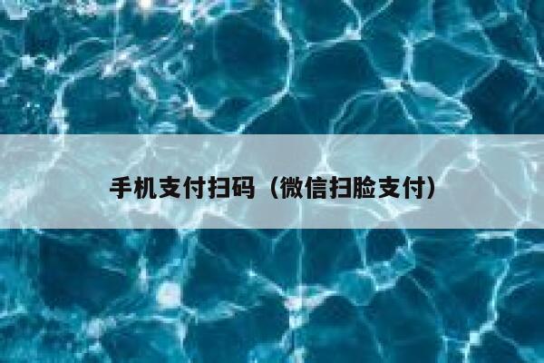 手机支付扫码（微信扫脸支付） 第1张