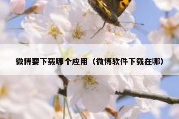 微博要下载哪个应用(微博软件下载在哪) 第1张 微博要下载哪个应用(微博软件下载在哪) 第1张