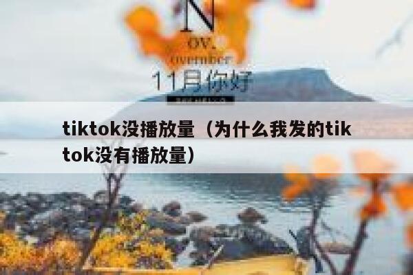 tiktok没播放量（为什么我发的tiktok没有播放量） 第1张