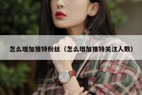 怎么增加推特粉丝（怎么增加推特关注人数） 第1张
