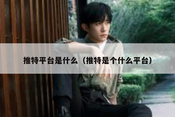 推特平台是什么（推特是个什么平台） 第1张