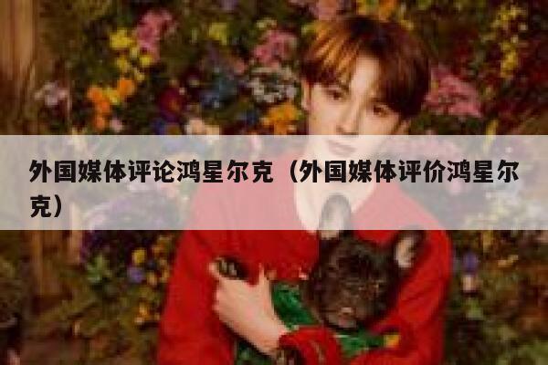 外国媒体评论鸿星尔克（外国媒体评价鸿星尔克） 第1张