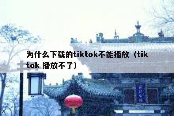 为什么下载的tiktok不能播放（tiktok 播放不了） 第1张