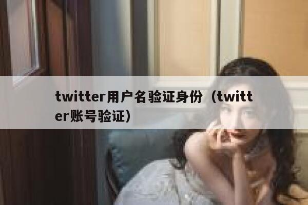 twitter用户名验证身份（twitter账号验证） 第1张
