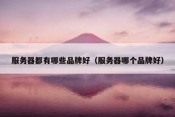 服务器都有哪些品牌好（服务器哪个品牌好） 第1张