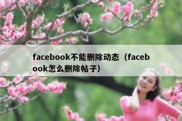 facebook不能删除动态（facebook怎么删除帖子） 第1张